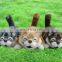 Cat rolling on the ground electronic toys
