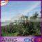 Plastic Frost protection anti hail net plant cover against hail