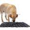Energy-consuming Smelling Mat Anti-choking Pet Bowl Intelligent Slow Eating Dogs Feeder Stress Relief Bowl