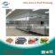 Xinyang .belt tunnel IQF machine freezer with 1500 kg capacity