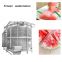 Spiral IQF Fruit And Vegetable Freezer Machine/Frozen Processing Machinery