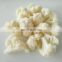 Sinochrm New Crop BRC Certified Non Worm Fresh IQF Cauliflower Frozen Cauliflower
