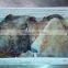 peru squid wing frozen giant squid wings indian ocean squid wing