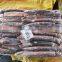 china frozen illex squid