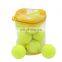 Top quality Professinal 2.5'' customized brand professional bouncy tennis ball bulk