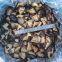 Shiitake in brine