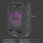 2023 portable 30W power with wired MIC 12-inch speaker bass bluetooth speaker with colorful lights