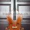 1/2 hybrid double bass/ solid top double bass for students/beginner