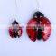 Small Size Ladybug with Half Opened Wings Ornament 01501011 new style indoor decoration