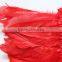 Red Goose Feather Trimming Ribbon Plumes For Dance Costumes