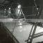 Automatic manure belt machine for chicken cage