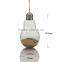 Home Decor Wedding Crafts Hanging Bulb Clear Glass Terrarium Container Transparent