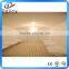Wet Steam Room / Sauna Steam Generator outdoor