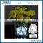 Fairy light Led Battery Wireless Controlled Acorn mini fairy Light