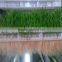 2014 Hot Sale Farm Fodder Sprouting System
