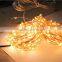 Indoor and Outdoor String Lights Ultra Thin String Wire LED With Remote Controller