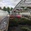 professional factory greenhouse pe plastic film