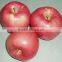 2015 new crop fresh red star apple with good quality for sale