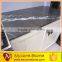 Pietra Grey Marble Floor Tile 24''*24 Polished floor tile