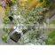 white wholesale branches silk flowers cherry blossom