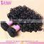 Shandong Factory Mongolian Curly Hair Extension Hair With Rubber Band