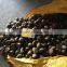 drying chestnuts