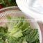 Plastic salad spinner;Small salad spinner;Mini salad spinner