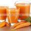 GMP certified Factory supply natural high quality Carrot Extract Powder