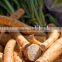 Pure Horseradish Root Extract P.e.