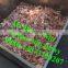 small capacity bone breaking machine/bone crushing machine/bone grinding machine