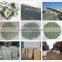 Agriculture Grade Natural Zeolite/Clinoptilolite green 1-2mm High CEC for Soil, Turf.