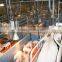 Attractive Design Plastic Slat Floor for Broiler Farm With Good Source of Materials