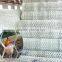 Competitive Price for Hexagonal Wire Mesh