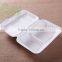 1000ml 2 compartment biodegradable fast food take away lunch box