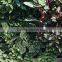 Home and outdoor decoration synthetic cheap artificial vertical green grass wall E08 04R25