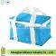 US Market Promotion Insulated Cooler Bag, Thermal Lunch Cooler Bag, Picnic Cooler Bag