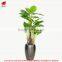 115 to 230cm Artificial Trees Dishlia Pots Plant Artificia House Plants Bonsai Tree