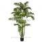 China manufacturers artificial plastic phoenix palm tree for sale