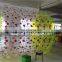 Guangzhou factory directly sale clear roll inside inflatable ball 2.8X2.6M