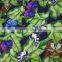 100 flower cotton printed fabric prices with low moq