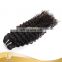 Best Single Donor Human Hair, One Donor Brazilian Hot Sexy Girl Virgin Curly Hair Extension