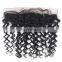 Peruvian virgin hair tangle free lace frontal 13x8