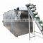 Taizy  Large capacity Sunflower Seeds Cocoa Bean Peanuts Nuts Roaster Machine Chestnut Hazelnut Roasting