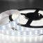 Waterproof IP68 flexible led strip 5050 DC24V Strip Lights