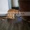 HQP-MP011 HongQiang Anti-Scratch Cat Training Tape Double Sided Sticky Cat Scratch Deterrent Tape Save Your Furniture