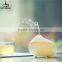 GX DIFFUSER GX-05K Car mist air humidifier/humidifier for car/essential oil car diffuser