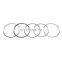 Gasoline car piston ring for Fiat fire 1.0 8v Palio