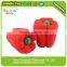 3D Mini Vegetable School Rubber Eraser