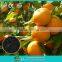 Organic citrus fertilizer