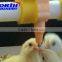 automatic drinker for chicken, plastic poultry drinker cheap price